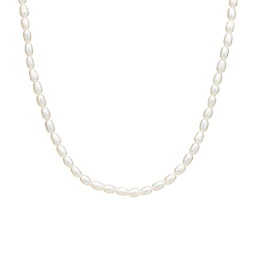 Freshwater rice pearl short necklace with Yellow Gold Plated sterling silver clasp and extension